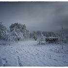 Winterlandschaft