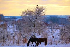 WINTERLANDSCHAFT