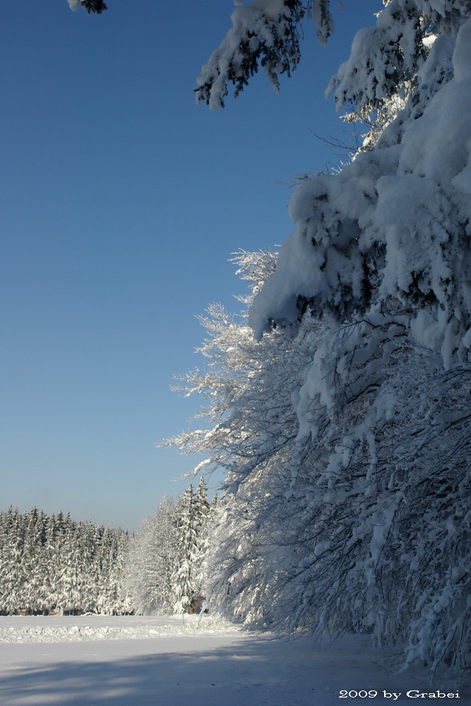 Winterlandschaft