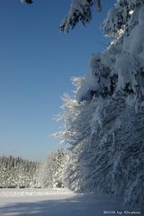 Winterlandschaft