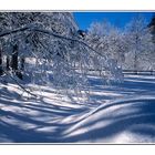 Winterlandschaft