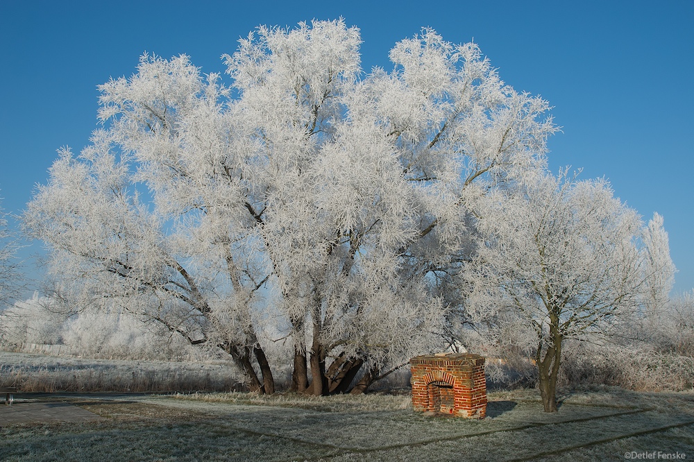 Winterlandschaft