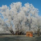 Winterlandschaft