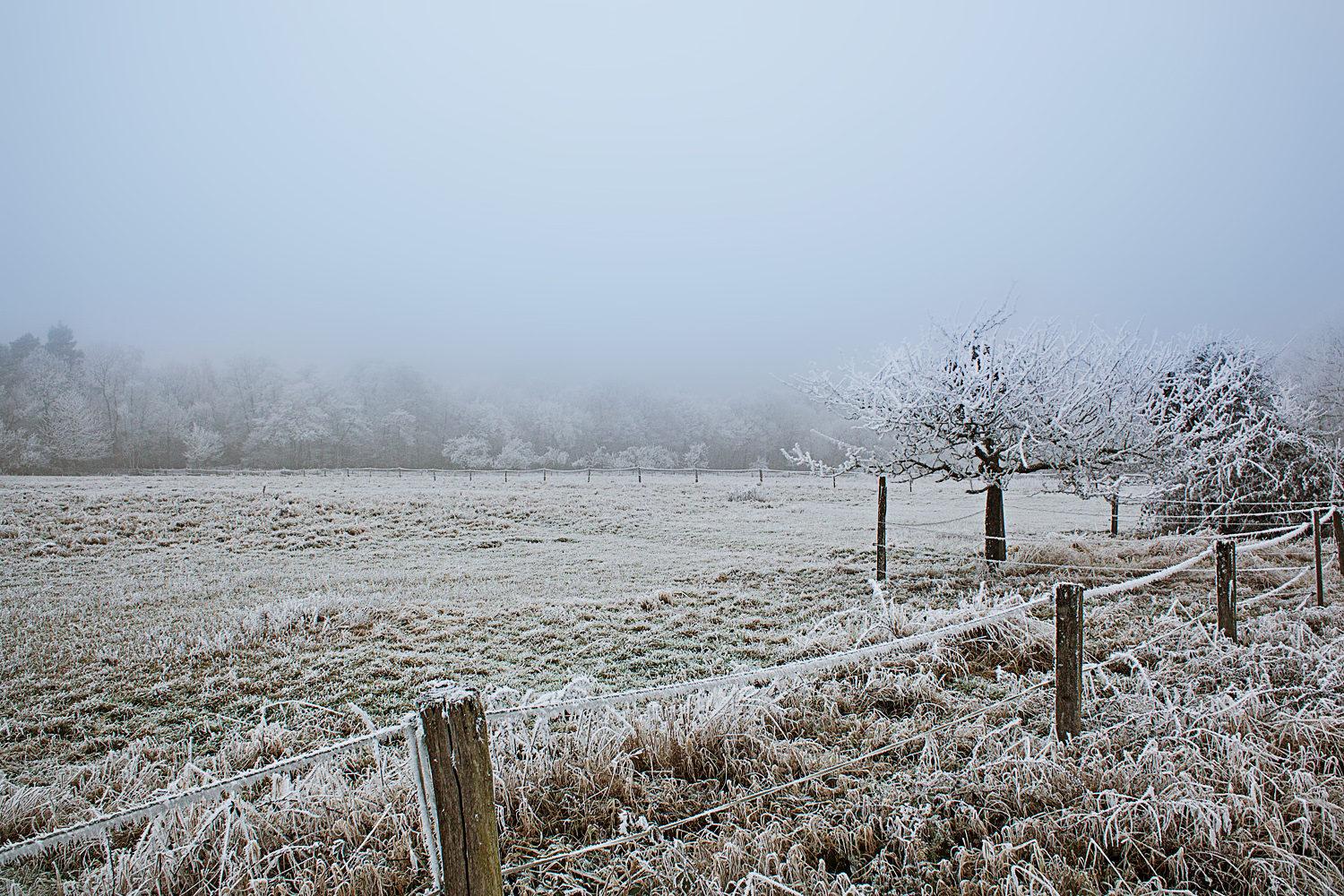 Winterlandschaft