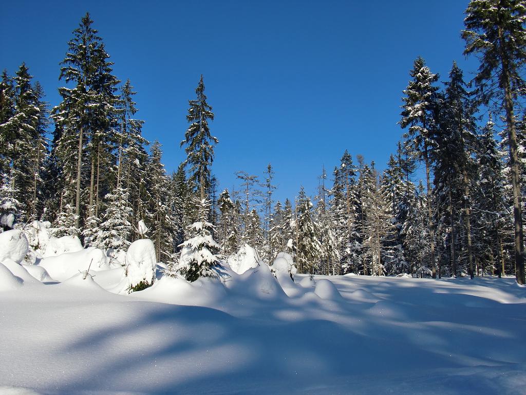 Winterlandschaft