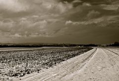 Winterlandschaft