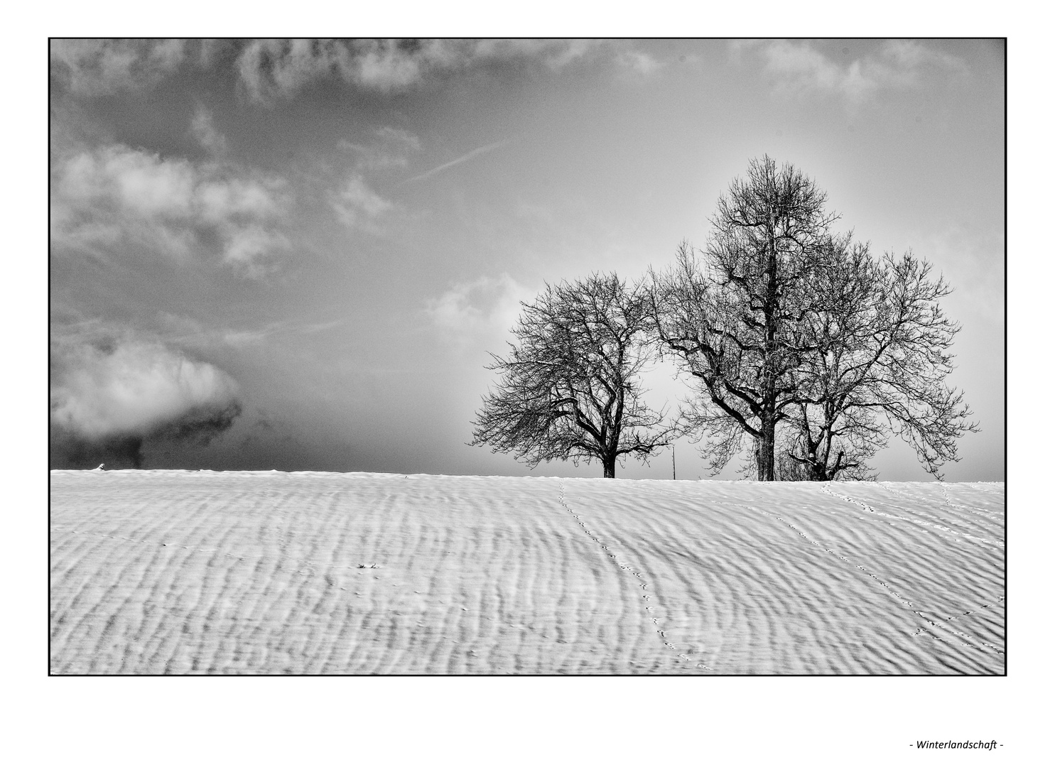 Winterlandschaft