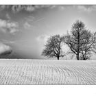 Winterlandschaft