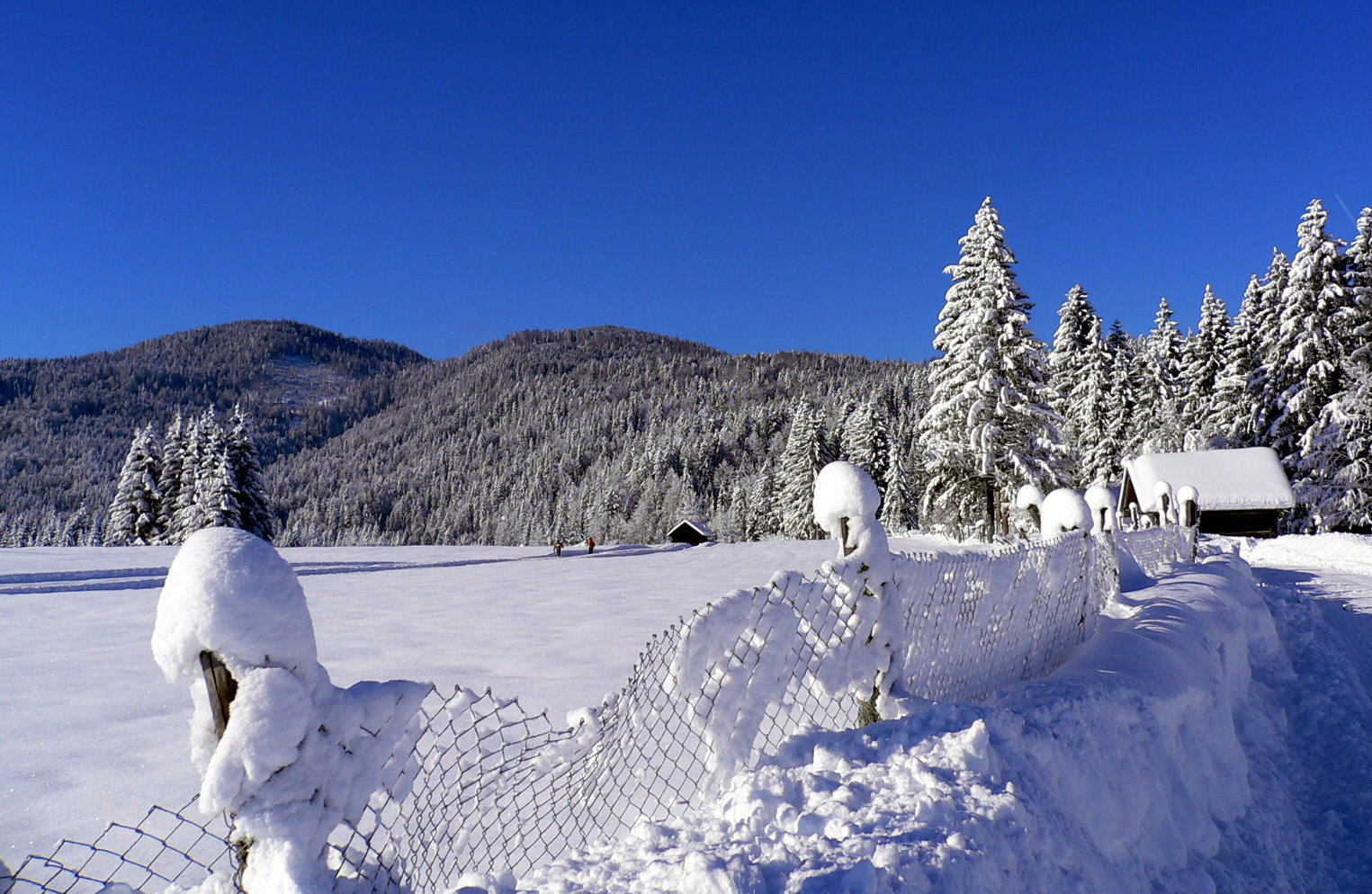 Winterlandschaft