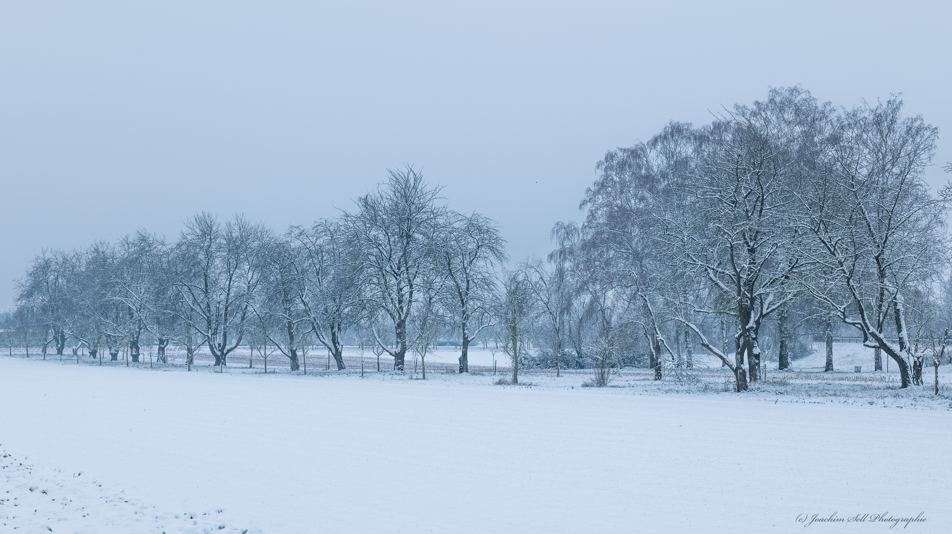 Winterlandschaft 