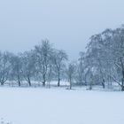 Winterlandschaft 