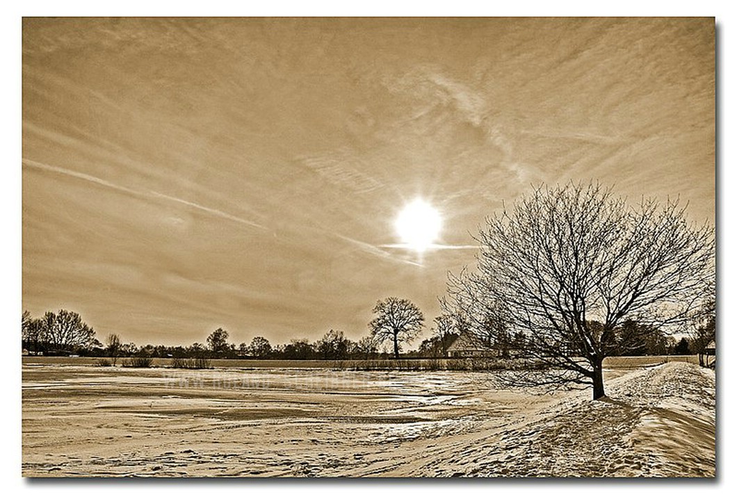 Winterlandschaft