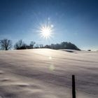 Winterlandschaft