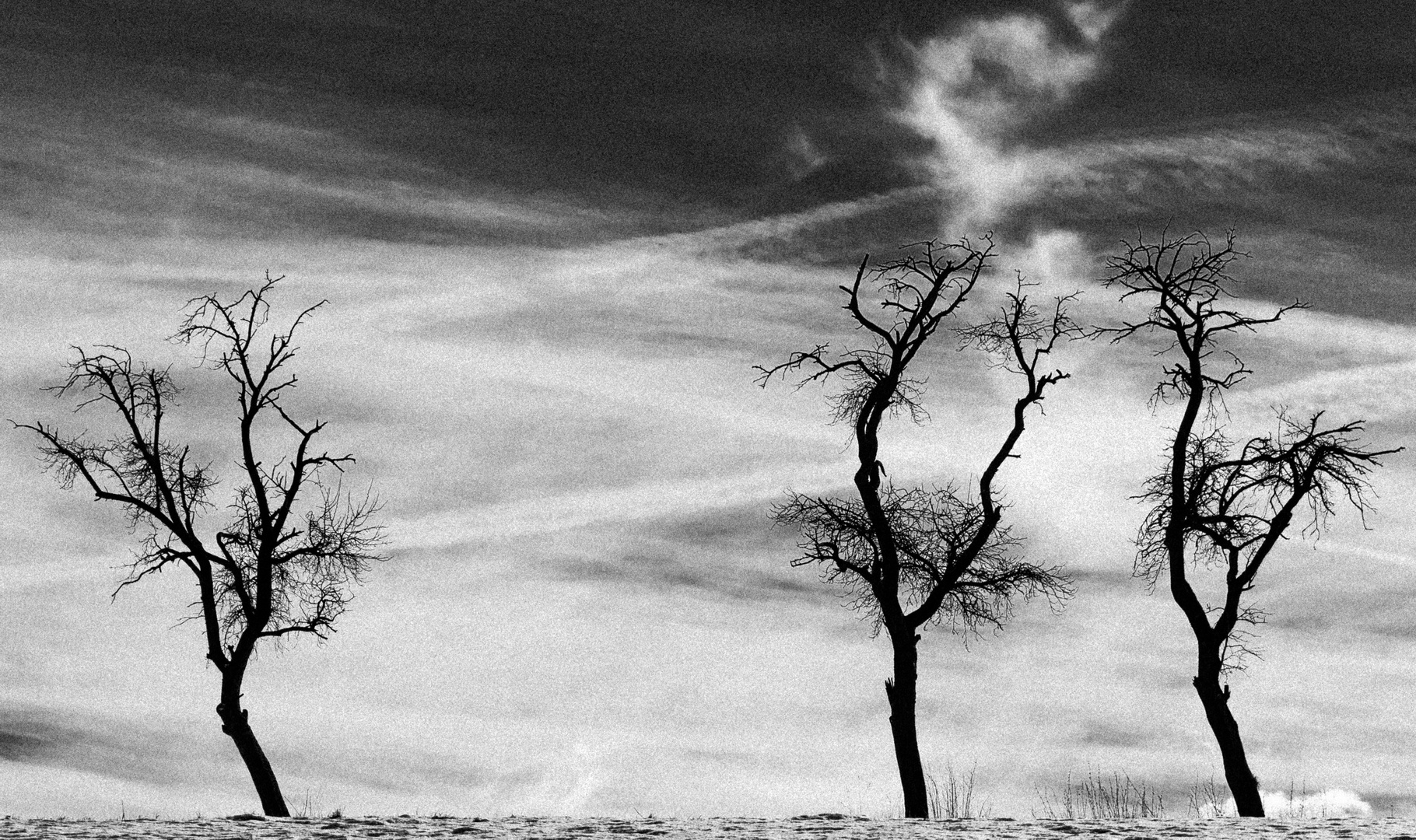 Winterlandschaft Foto Bild Landschaft Stadte Landschaften Winterlandschaft Schwarz Weiss Bilder Auf Fotocommunity