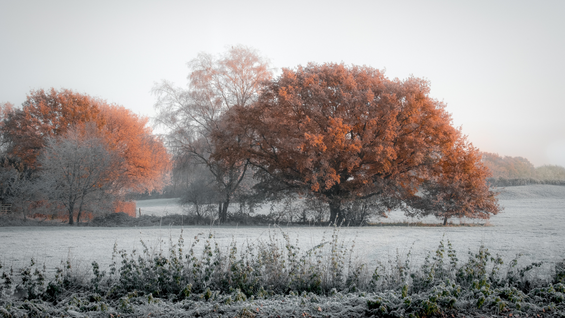 Winterlandschaft