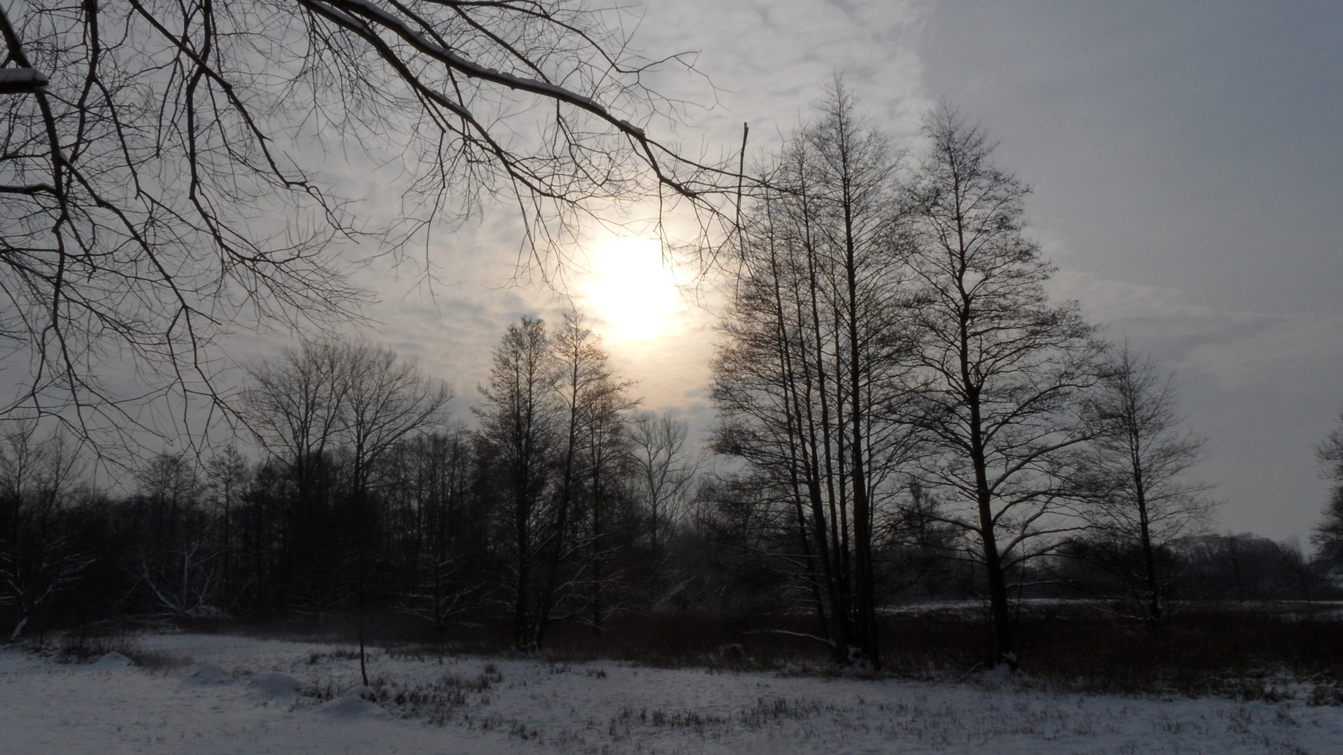 Winterlandschaft