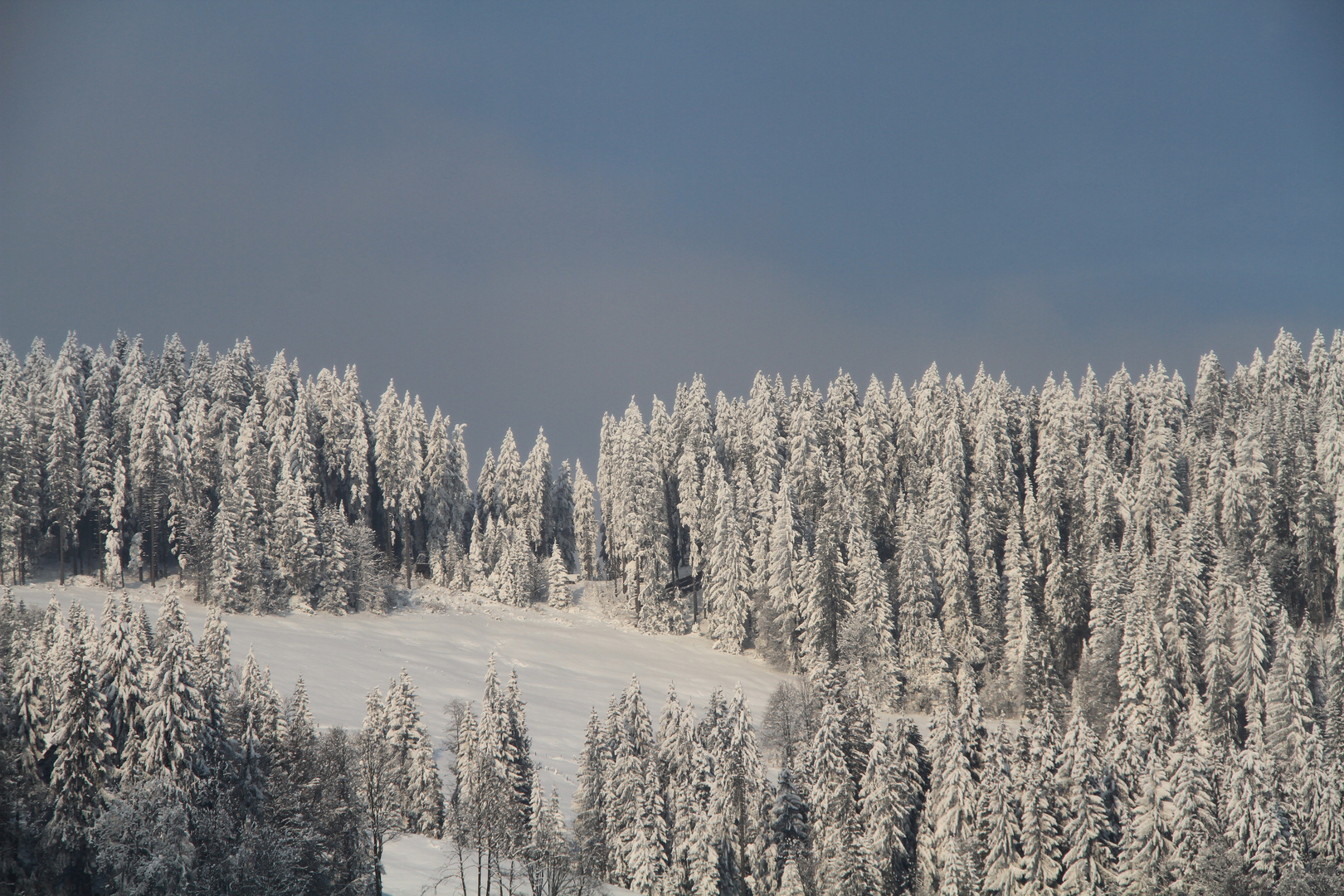 Winterlandschaft