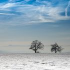 Winterlandschaft