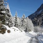 Winterlandschaft