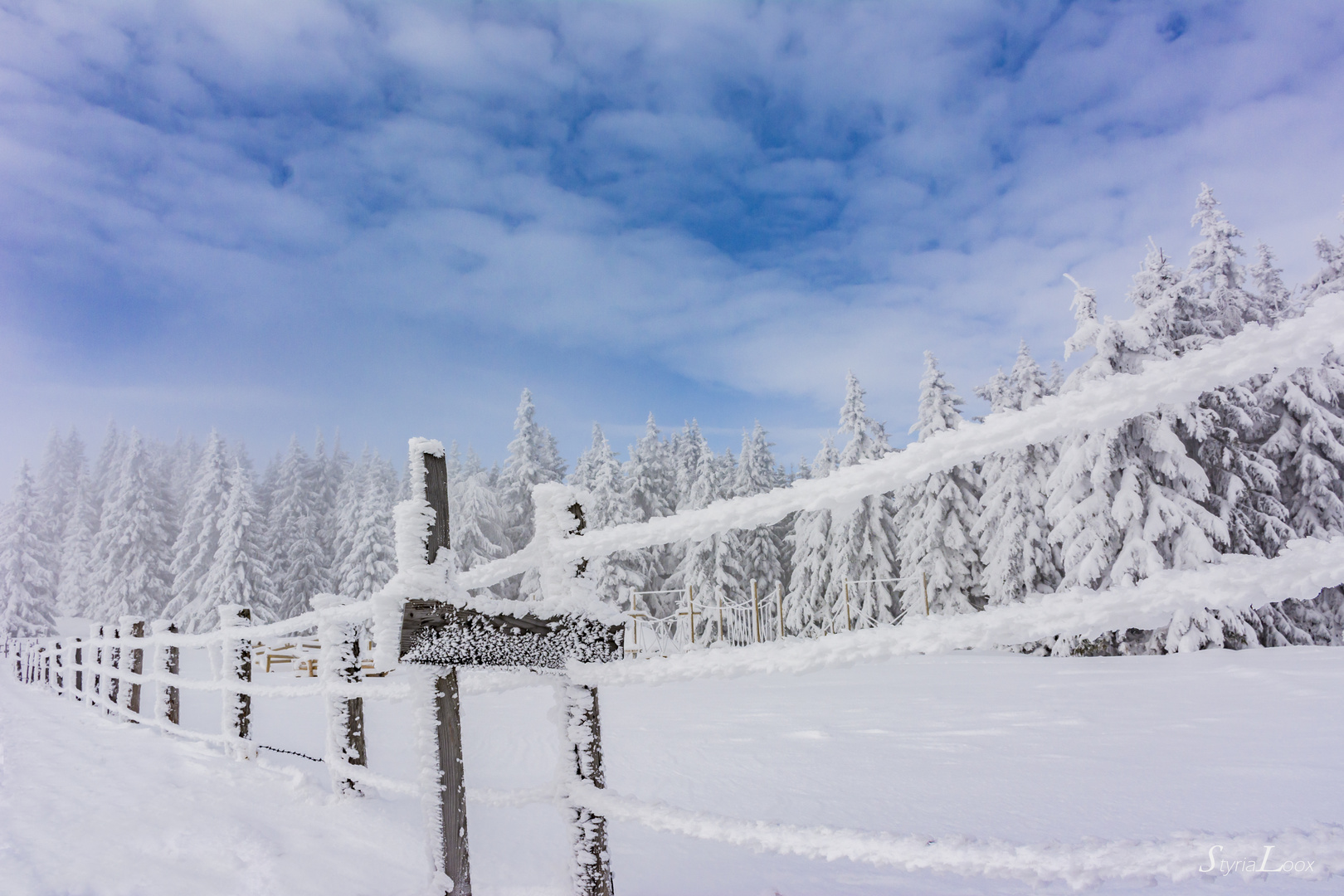 Winterlandschaft