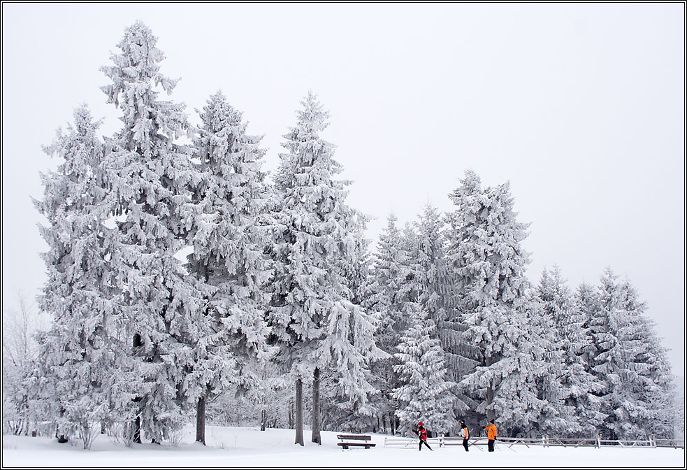 Winterlandschaft