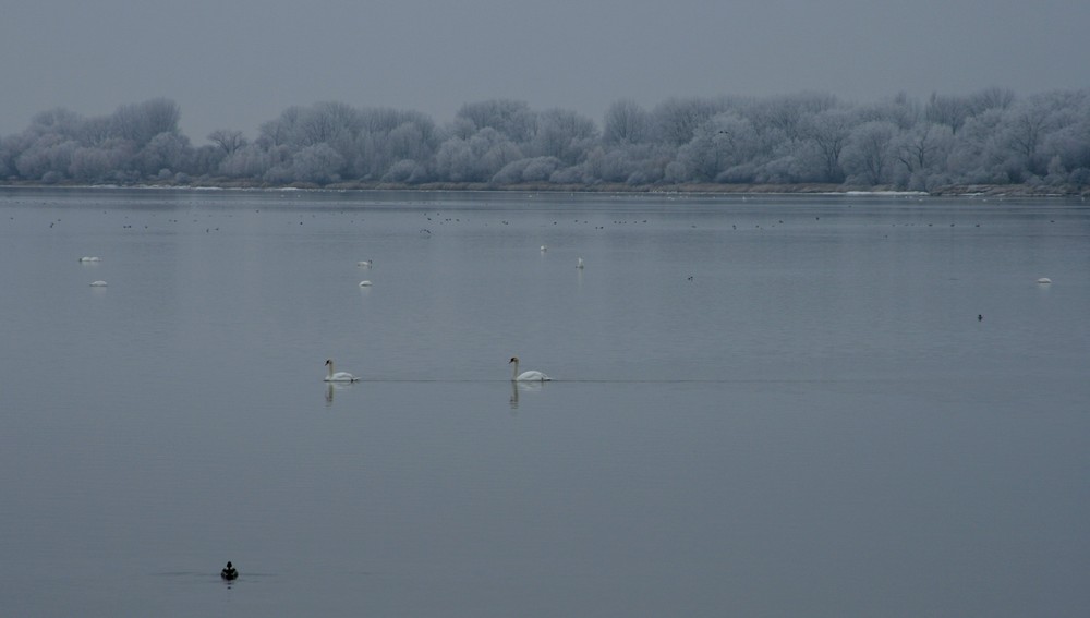 Winterlandschaft