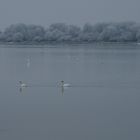 Winterlandschaft