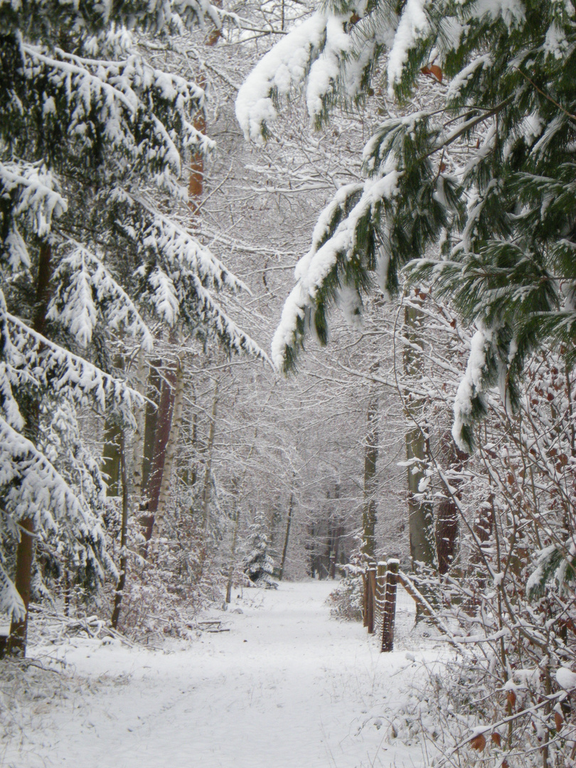 Winterlandschaft