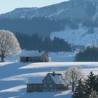 Winterlandschaft