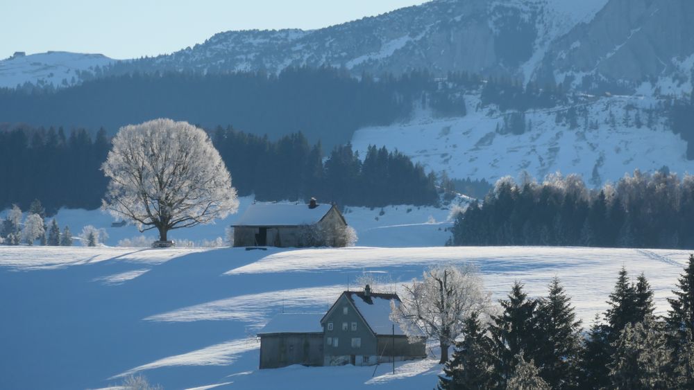 Winterlandschaft