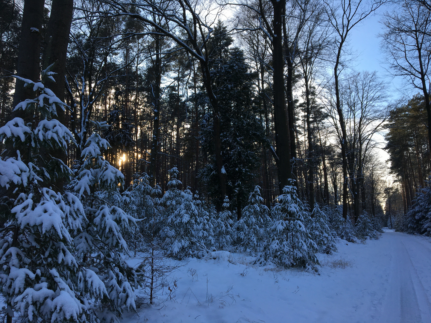 Winterlandschaft