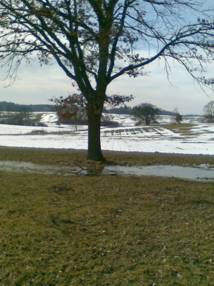 Winterlandschaft