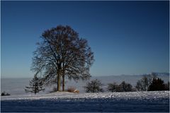 Winterlandschaft