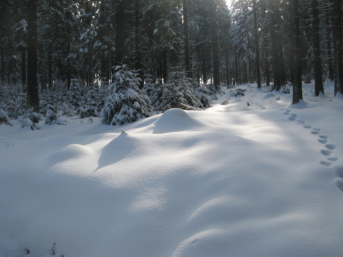 Winterlandschaft