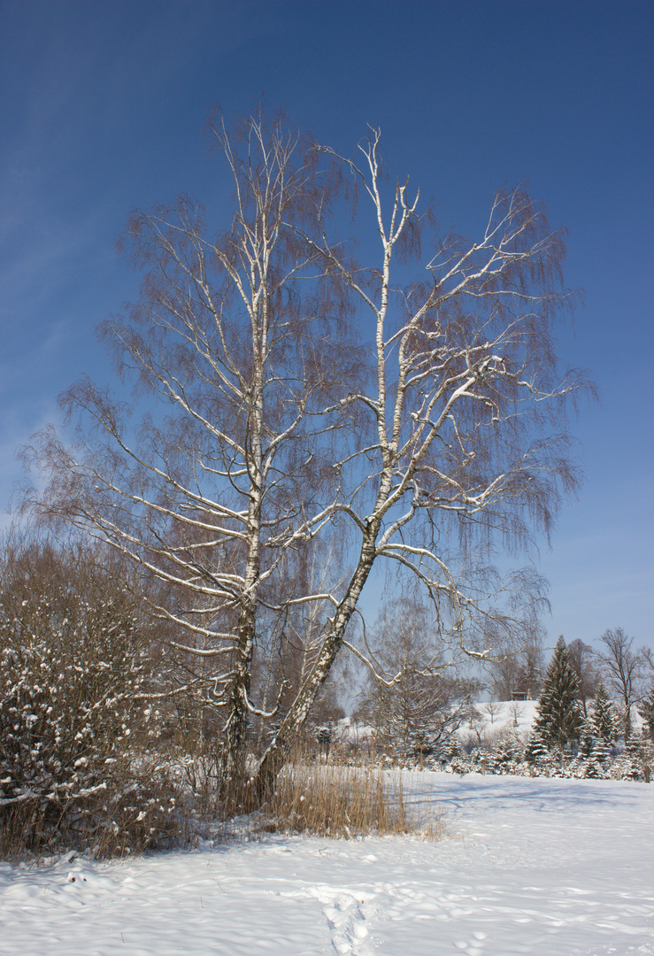 Winterlandschaft