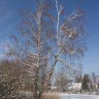 Winterlandschaft