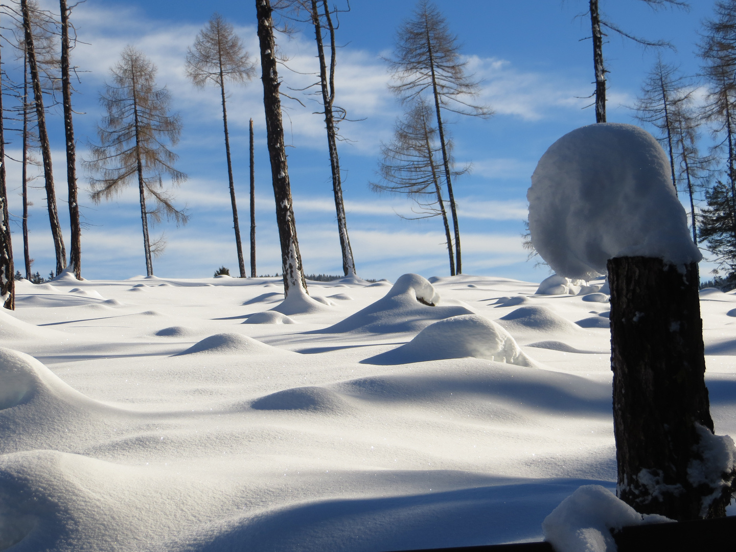 Winterlandschaft