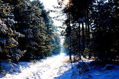 Winterlandschaft