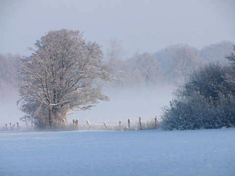 Winterlandschaft