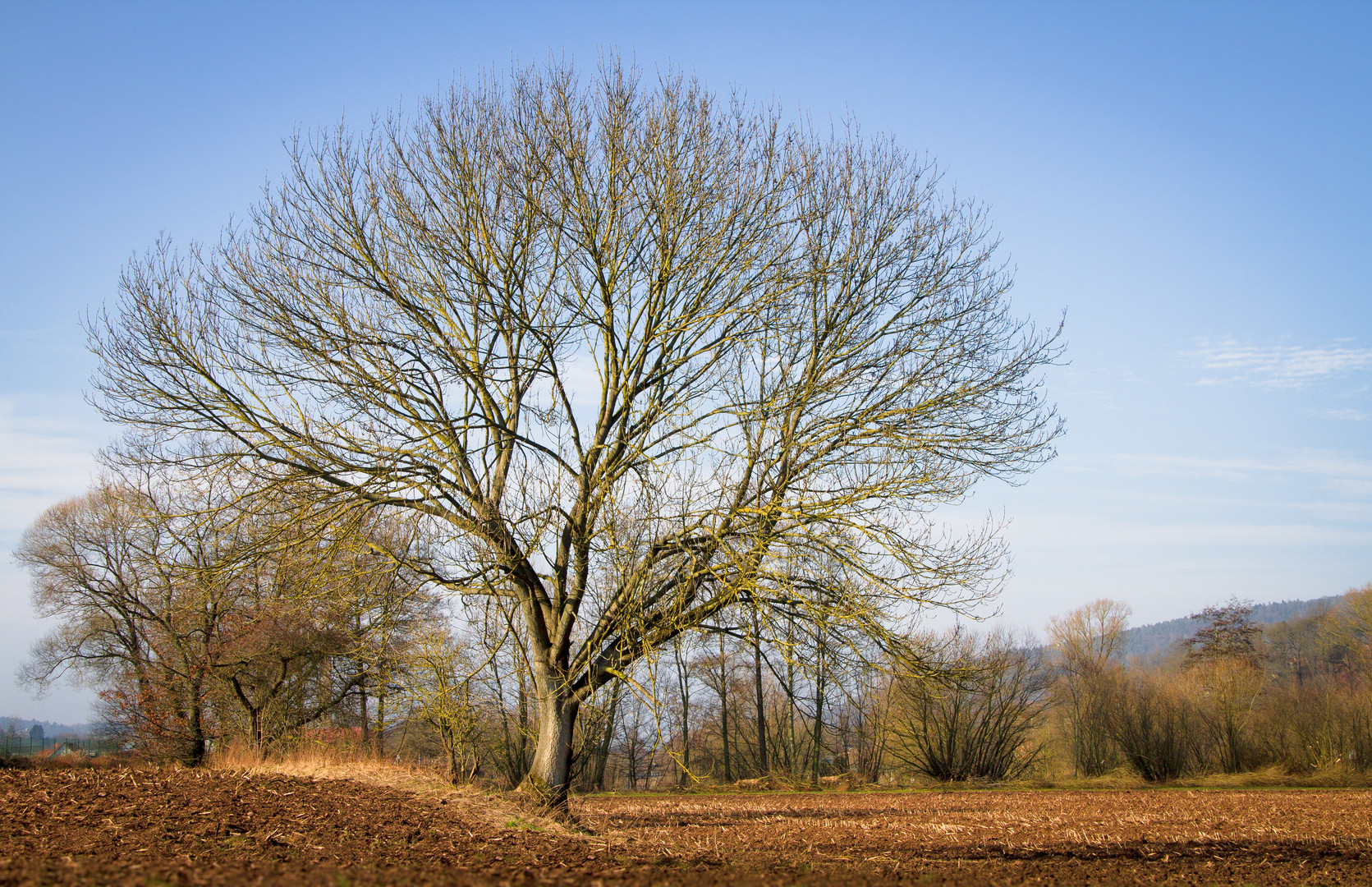 winterlandschaft