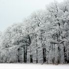 Winterlandschaft