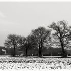 Winterlandschaft