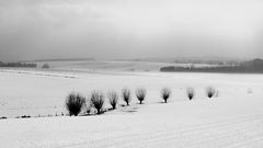 Winterlandschaft