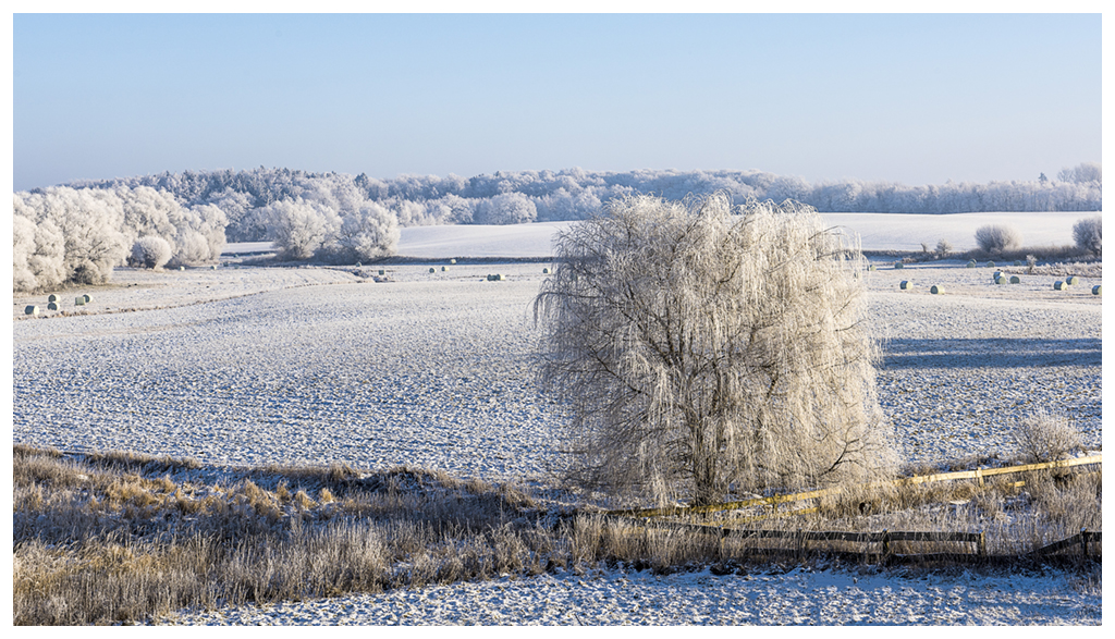 Winterlandschaft