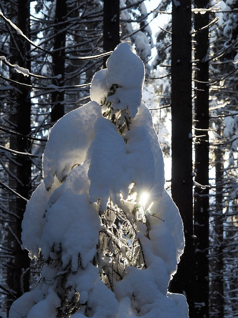 Winterlandschaft