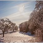 Winterlandschaft