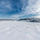 Winterlandschaft