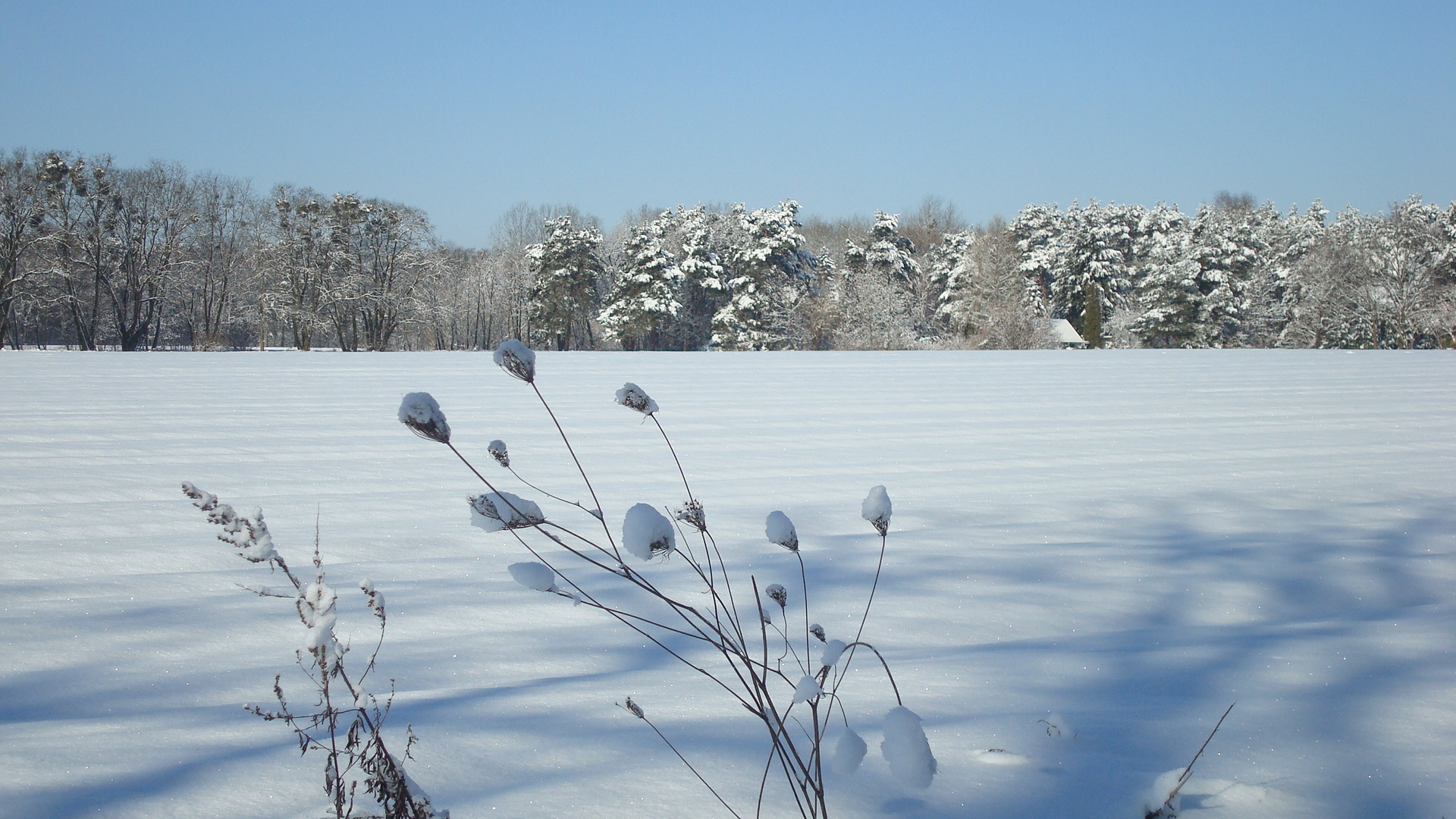 Winterlandschaft