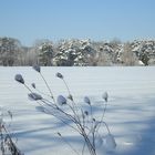 Winterlandschaft