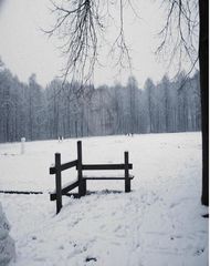 Winterlandschaft